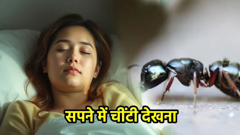 सपने में चींटी देखना – सपना फल और उसका रहस्य