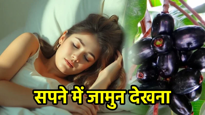 सपने में जामुन देखना – सपना फल और अर्थ