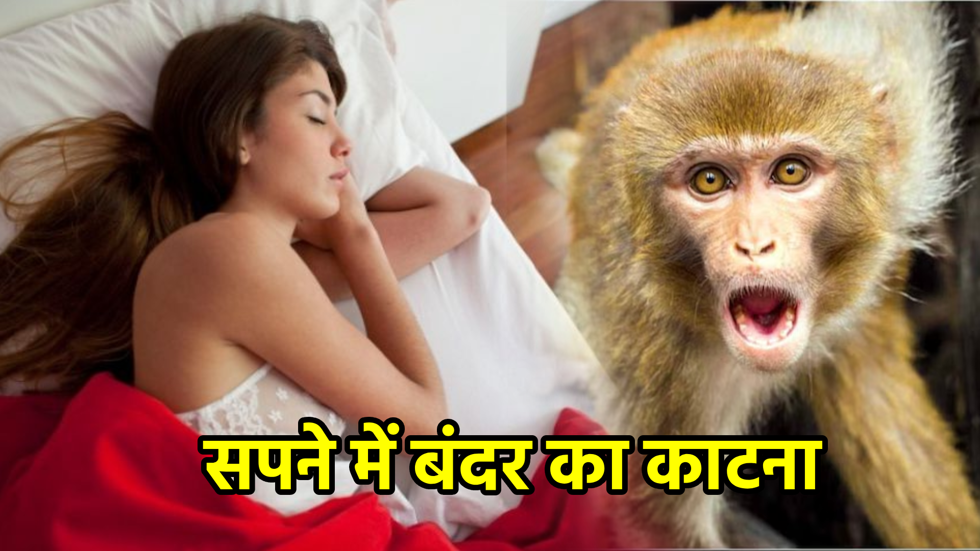 सपने में बंदर का काटना – अर्थ, संकेत, उपाय और लाभ
