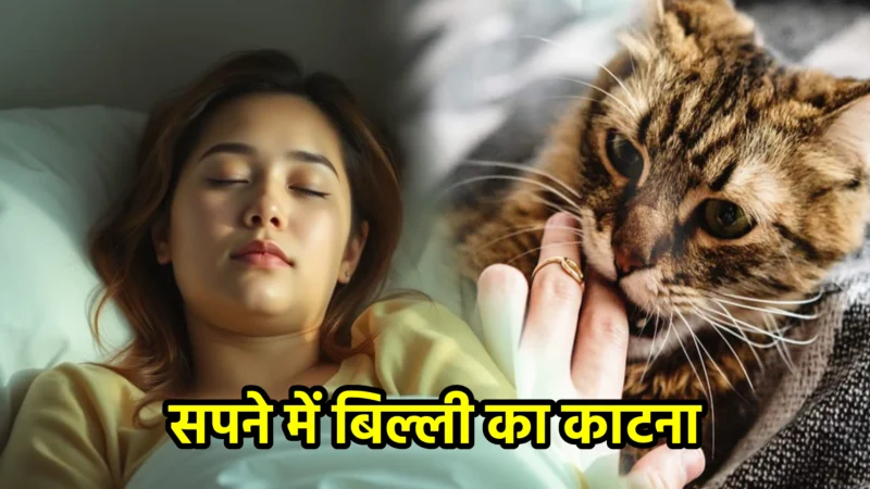 सपने में बिल्ली का काटना – शुभ या अशुभ संकेत?