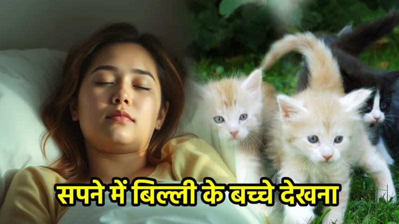 सपने में बिल्ली के बच्चे देखना – सपना फल और उसका रहस्य