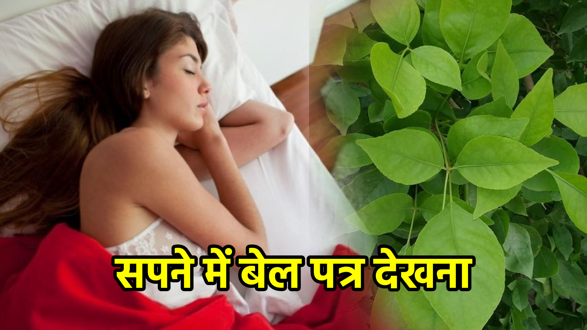 सपने में बेल पत्र देखना – अर्थ, संकेत, उपाय और लाभ