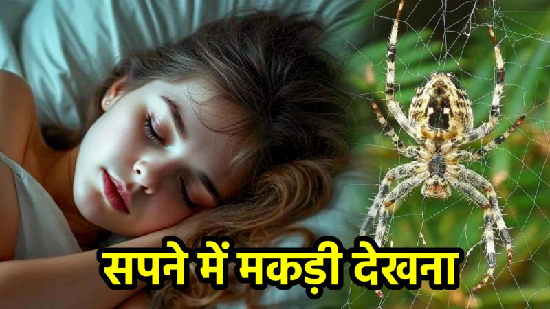 सपने में मकड़ी देखना – अर्थ, संकेत, उपाय और लाभ