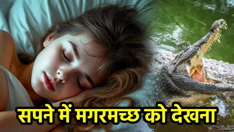 सपने में मगरमच्छ को देखना – अर्थ, संकेत, उपाय और लाभ
