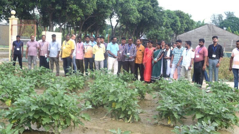 आईआईवीआर में पाँच दिवसीय कृषक प्रशिक्षण कार्यक्रम का आयोजन