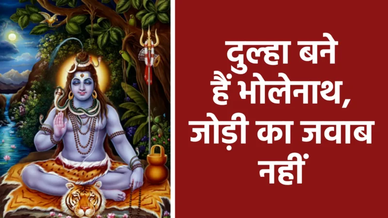 दुल्हा बने हैं भोलेनाथ, जोड़ी का जवाब नहीं | शिव–पार्वती के दिव्य मिलन का अनुपम उत्सव