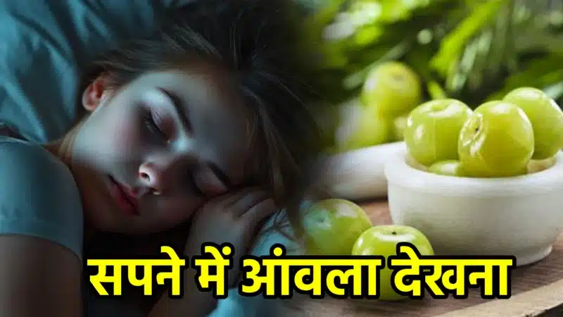 सपने में आंवला देखना – अर्थ, संकेत, उपाय और लाभ