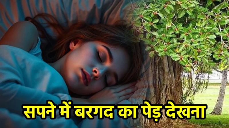 सपने में बरगद का पेड़ देखना — अर्थ, संकेत, उपाय और लाभ