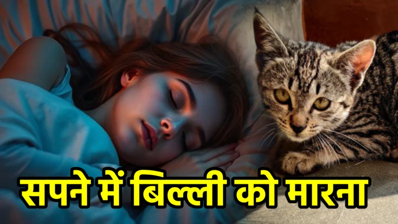 सपने में बिल्ली को मारना — अर्थ, संकेत, उपाय और निष्कर्ष