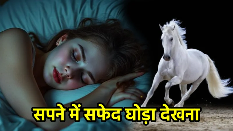 सपने में सफेद घोड़ा देखना – अर्थ, संकेत, उपाय और लाभ