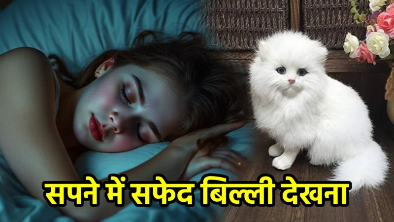 सपने में सफेद बिल्ली देखना – अर्थ, संकेत, उपाय और लाभ