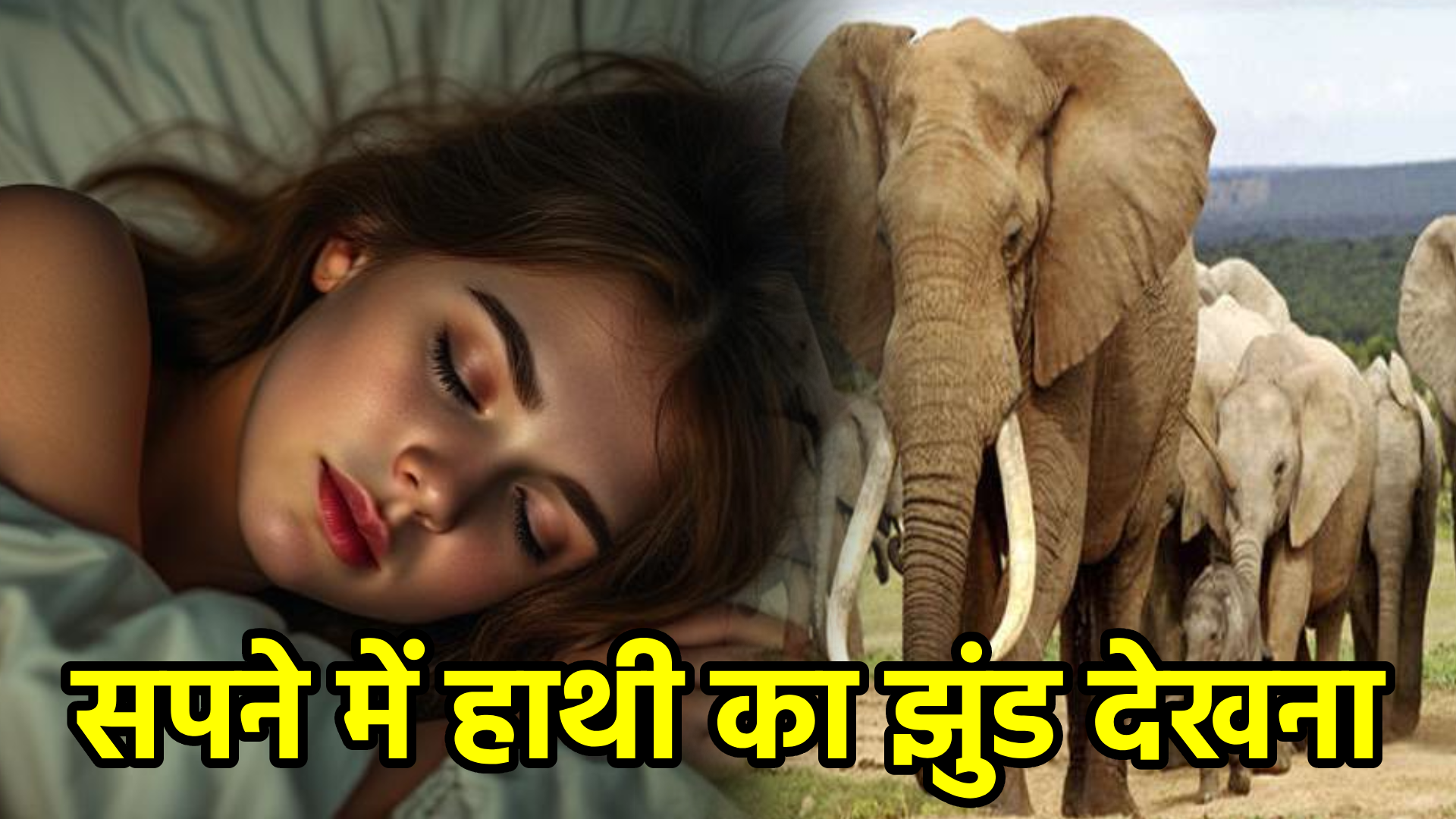 सपने में हाथी का झुंड देखना – अर्थ, संकेत, उपाय और लाभ