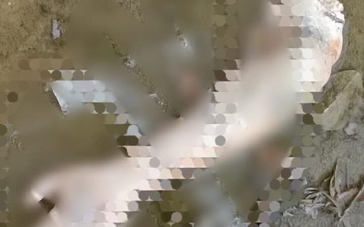 चंदौली: पचफेड़वा नहर में मिला इंसान का कटा हुआ हाथ