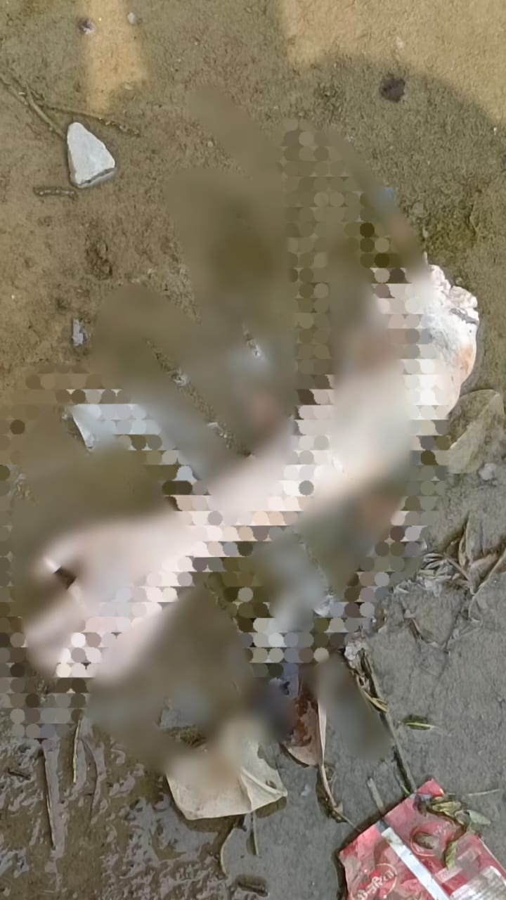 चंदौली: पचफेड़वा नहर में मिला इंसान का कटा हुआ हाथ