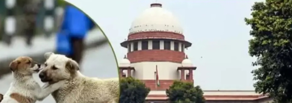 आवारा कुत्तों पर सुप्रीम कोर्ट का सख्त रुख, स्कूल और हॉस्पिटल होंगे सेफ ज़ोन