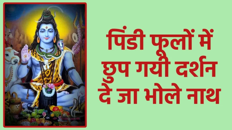 पिंडी फूलों में छुप गयी दर्शन दे जा भोले नाथ