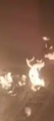 अयोध्या: हनुमानगढ़ी मंदिर परिसर में संत महेश योगी को जिंदा जलाने की कोशिश