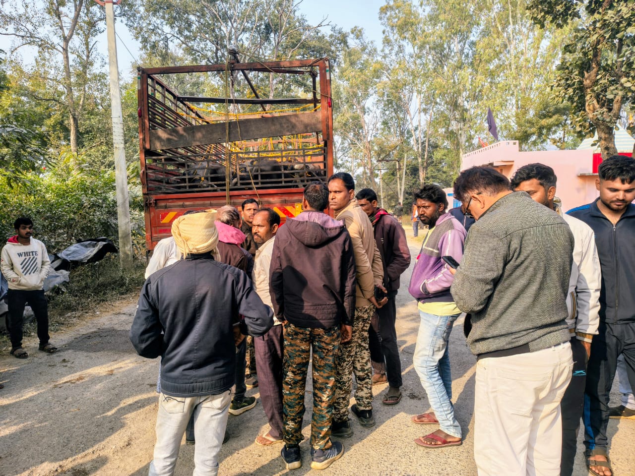मवेशी तस्करी की डीसीएम पकड़ी, छत्तीसगढ़ पुलिस ने बैरियर तोड़कर भागते ट्रक का पीछा कर रोका