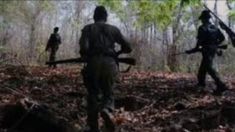 छत्तीसगढ़ : सुकमा-बीजापुर में 14 माओवादी ढेर, हथियार बरामद