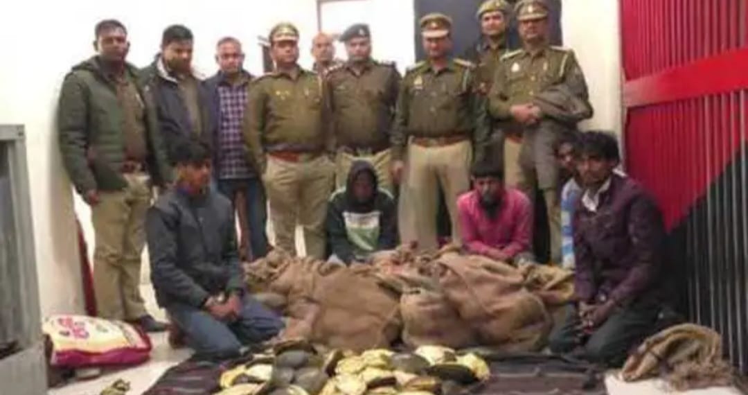 जीआरपी : 363 कछुआ बरामद, पांच तस्कर गिरफ्तार