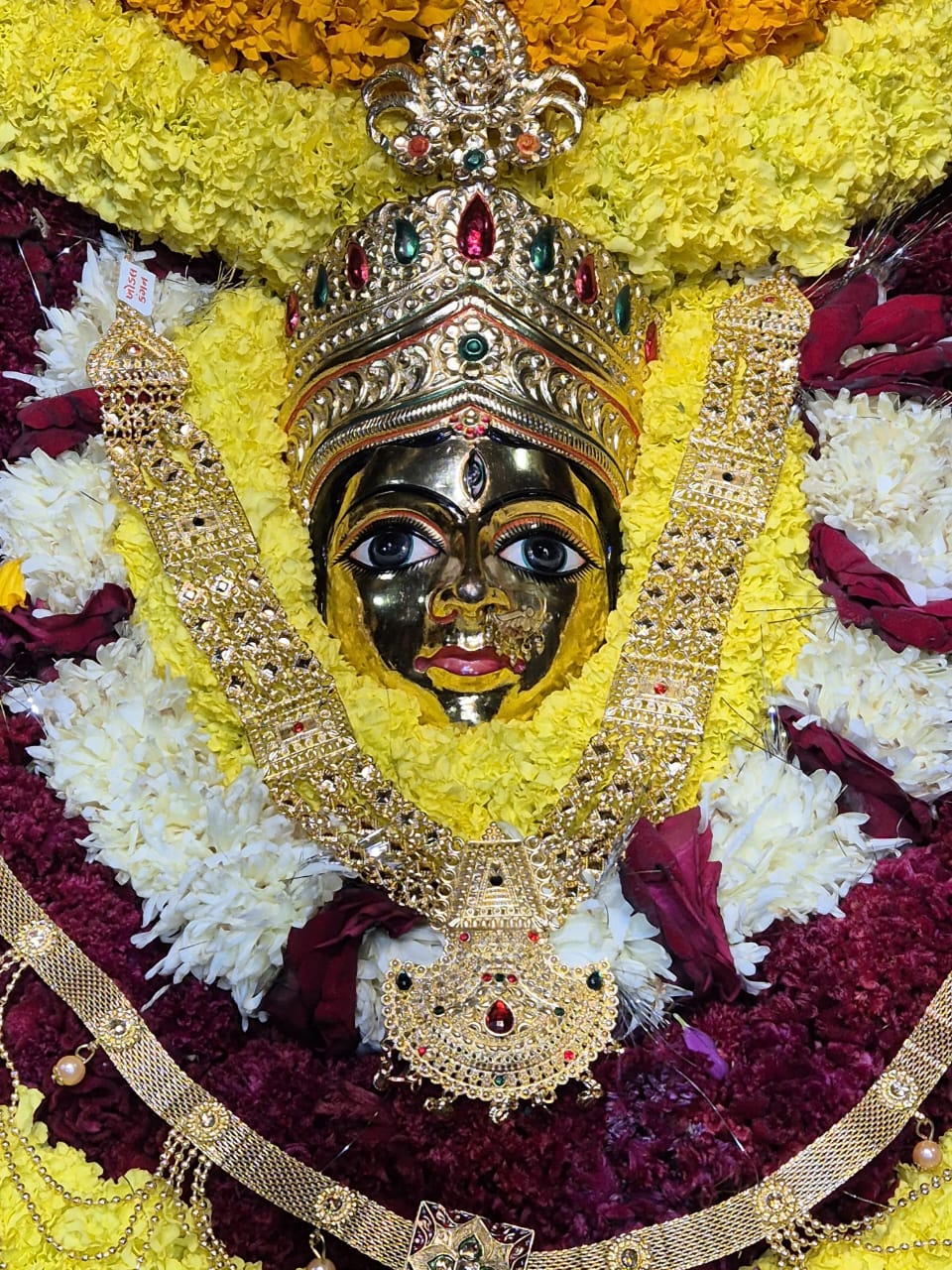 अन्नपूर्णा मंदिर में कुंभाभिषेक वार्षिकोत्सव संपन्न