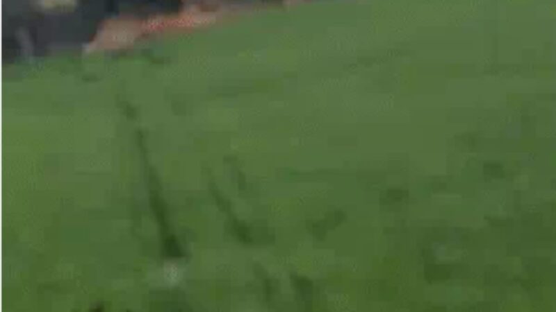 रील बनाते समय पुल से गिरा युवक