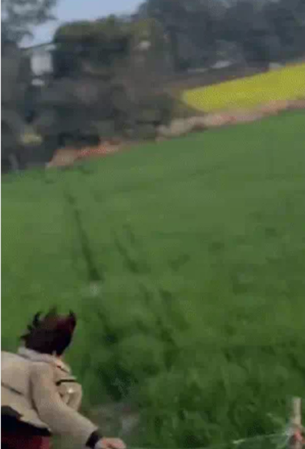 रील बनाते समय पुल से गिरा युवक