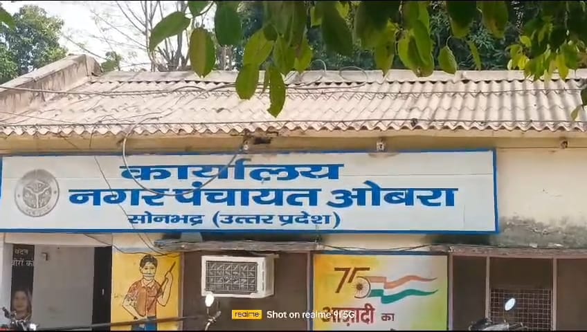 नगर पंचायत ओबरा में नियमों की अनदेखी का आरोप, हाईकोर्ट के स्टेटस-क्वो आदेश पर उठे सवाल