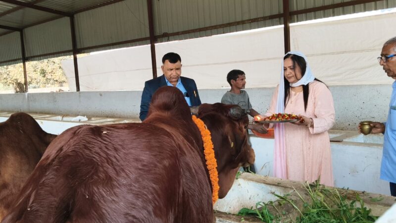 गौवंश संरक्षण के लिए गौ आश्रय स्थल में पूजा-अर्चना एवं जागरूकता कार्यक्रम संपन्न