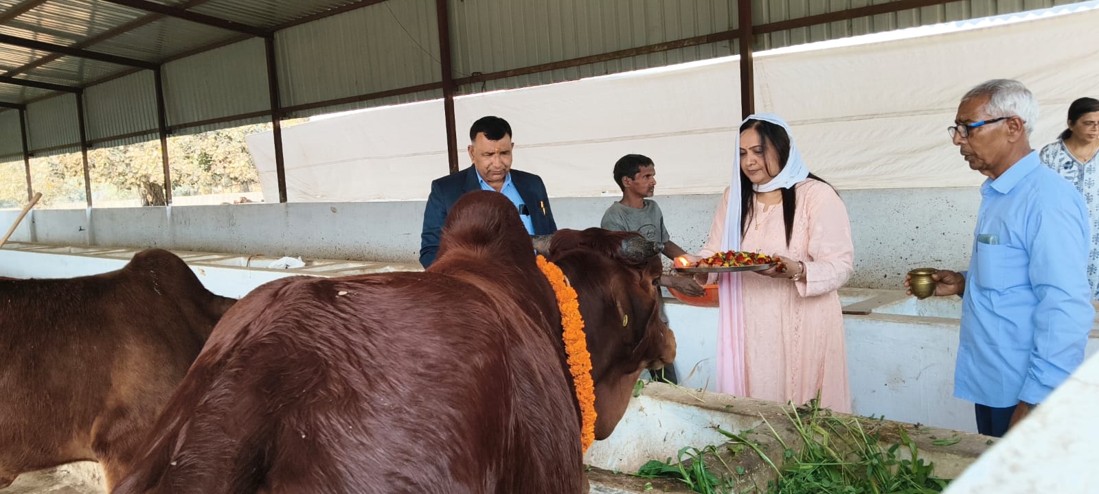 गौवंश संरक्षण के लिए गौ आश्रय स्थल में पूजा-अर्चना एवं जागरूकता कार्यक्रम संपन्न