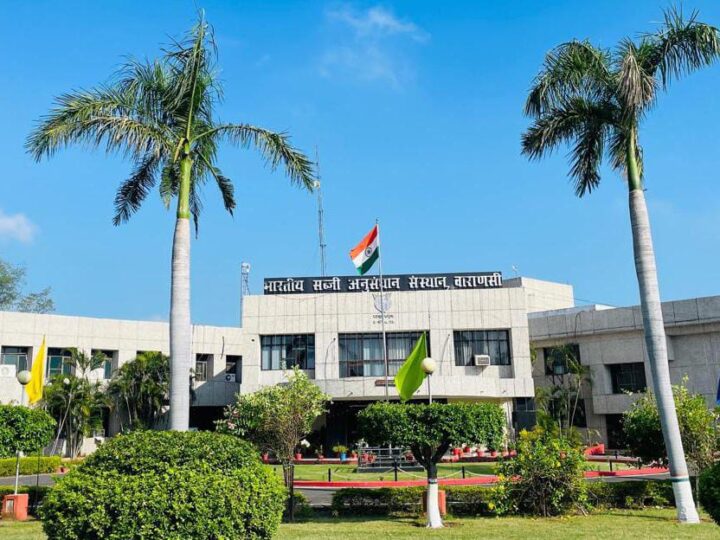 केंद्रीय कृषि मंत्री कल वाराणसी में भारतीय सब्जी अनुसंधान संस्थान  के वैज्ञानिकों के साथ करेंगे समीक्षा बैठक