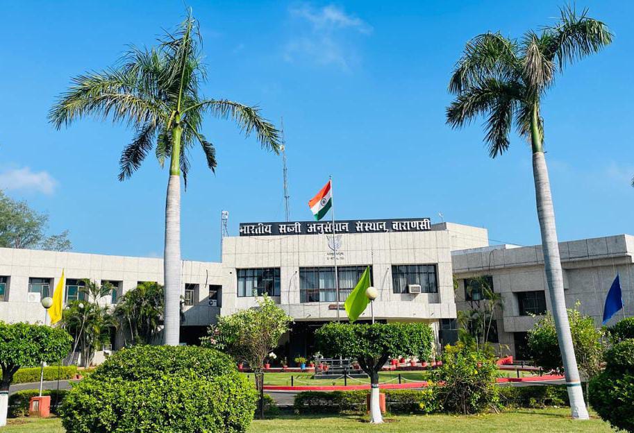 केंद्रीय कृषि मंत्री कल वाराणसी में भारतीय सब्जी अनुसंधान संस्थान  के वैज्ञानिकों के साथ करेंगे समीक्षा बैठक