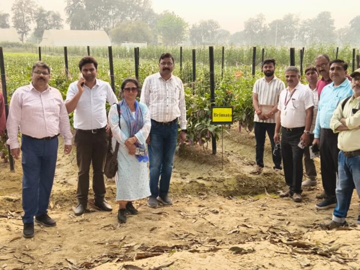 त्रिपुरा के पत्रकारों ने वाराणसी में आईआईवीआर का दौरा कर समझी सब्जी उत्पादन की नई संभावनाएं