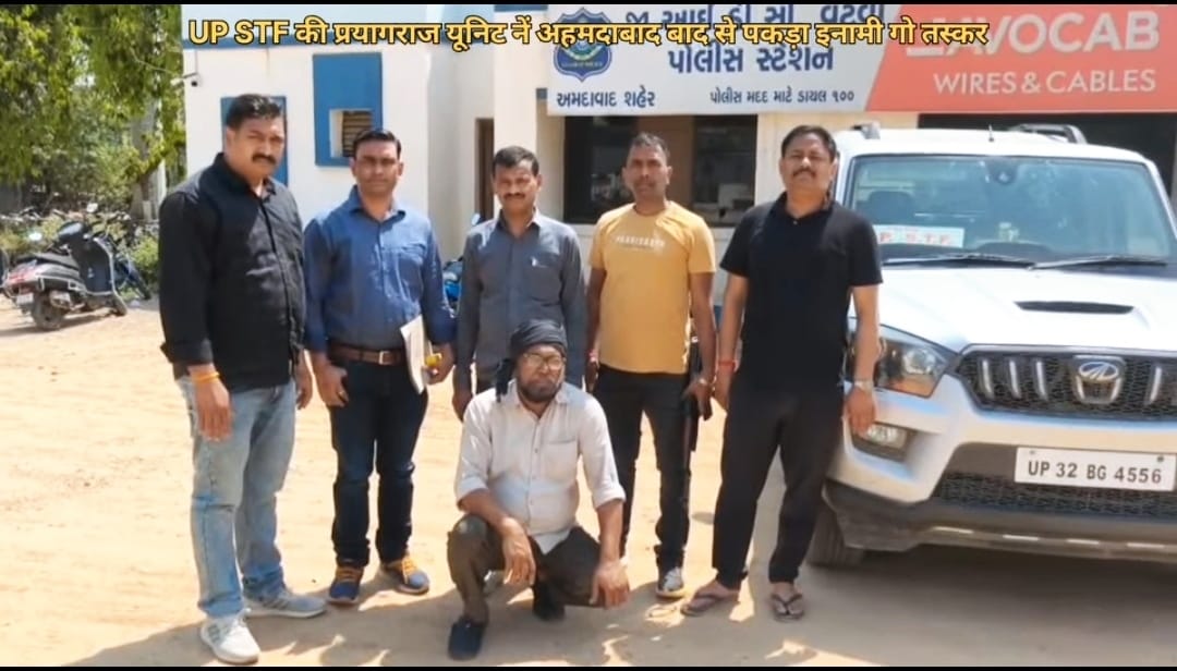 एसटीएफ : 50 हजार के इनामी गौ-तस्कर को गुजरात से दबोचा