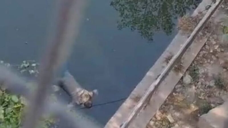 लखनऊ : 17 वर्षीय किशोरी की न्यूड बॉडी गोमती नदी से बरामद