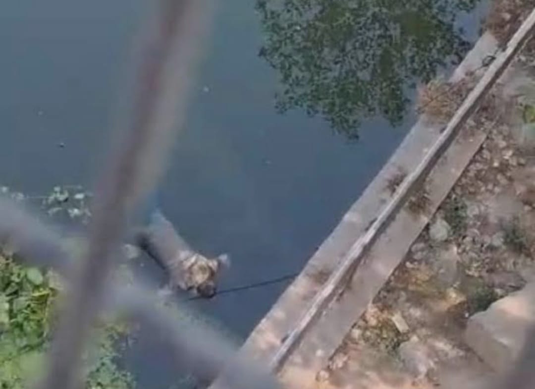 लखनऊ : 17 वर्षीय किशोरी की न्यूड बॉडी गोमती नदी से बरामद