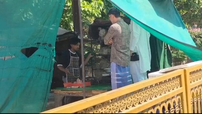 लोहता : प्रतिबंध के बाद भी दुकानें  खुलेआम मीट-मांस की बिक्री