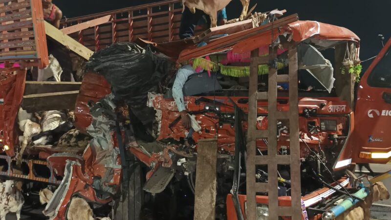 मिर्जामुराद में पुलिस के दौड़ाते ही ट्रेलर में घुसी बकरी लदी डीसीएम, चालक की मौत…