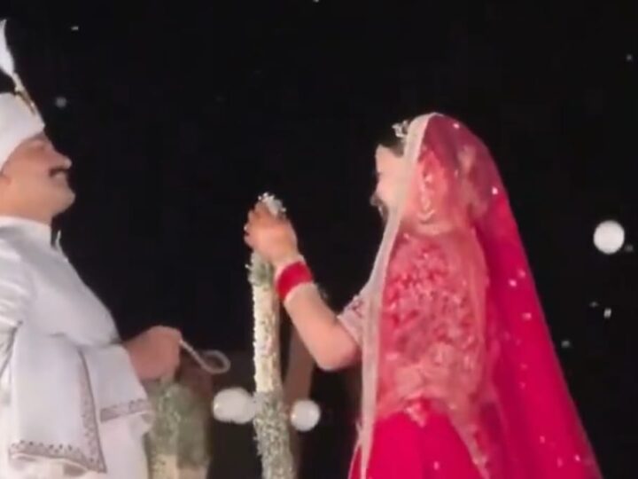 दो चर्चित आईपीएस अधिकारियों की राजसी शादी