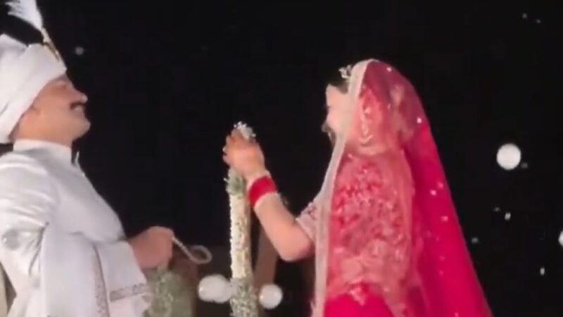 दो चर्चित आईपीएस अधिकारियों की राजसी शादी