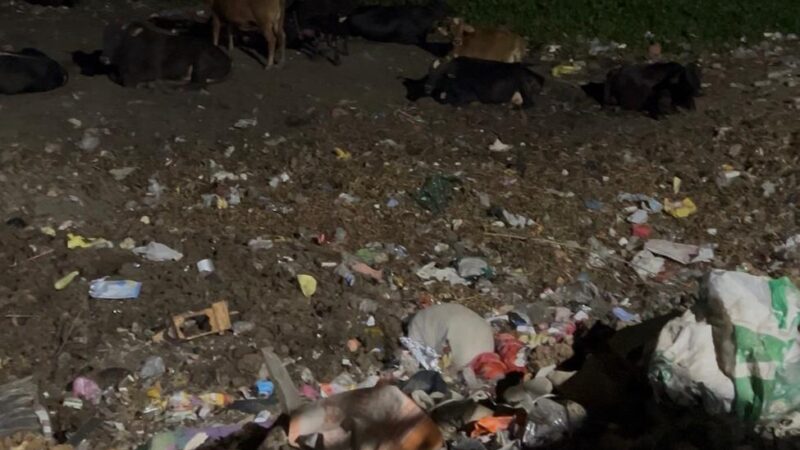 भू माफिया के निशाने पर सोनिया पोखरा, जल स्रोत मिटने के कगार पर