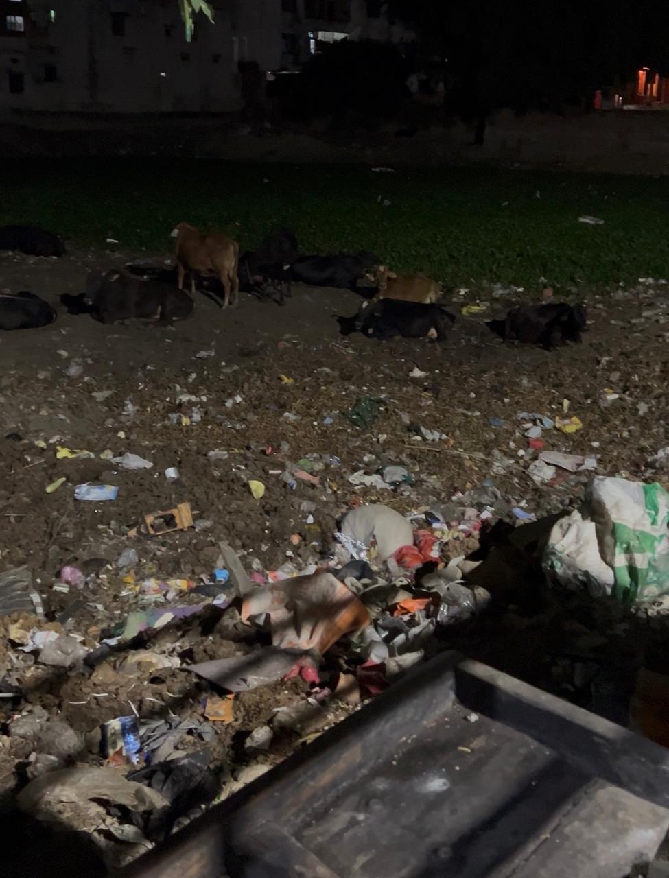 भू माफिया के निशाने पर सोनिया पोखरा, जल स्रोत मिटने के कगार पर