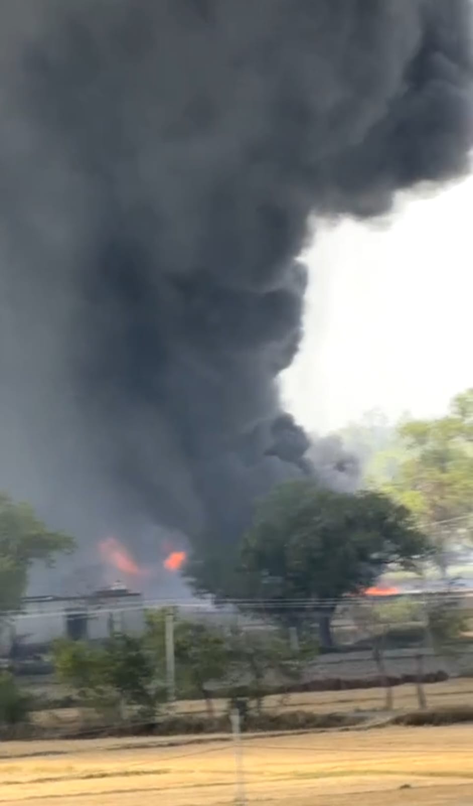 सरकारी लापरवाही से लाखों की संपत्ति आग के हवाले, जांच शुरू