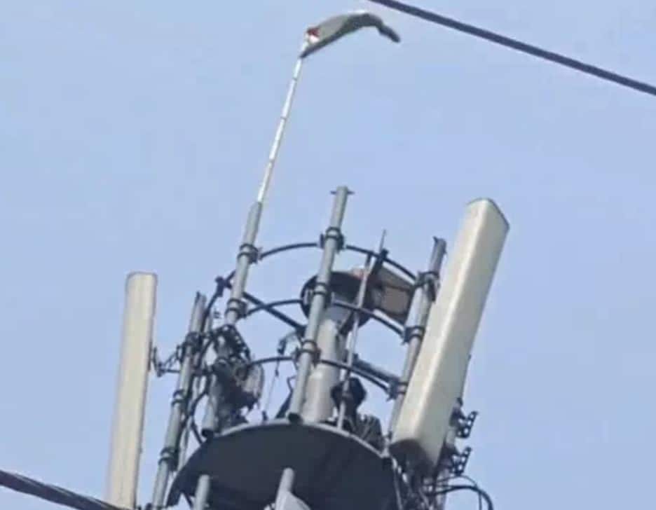 नशे में 150 फीट ऊंचे टावर पर चढ़ा युवक, एक घंटे तक हलकान रही कैंट पुलिस