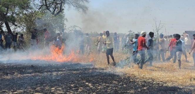 आजमगढ़ में खेतों में आग, दो दर्जन किसानों की फसल राख