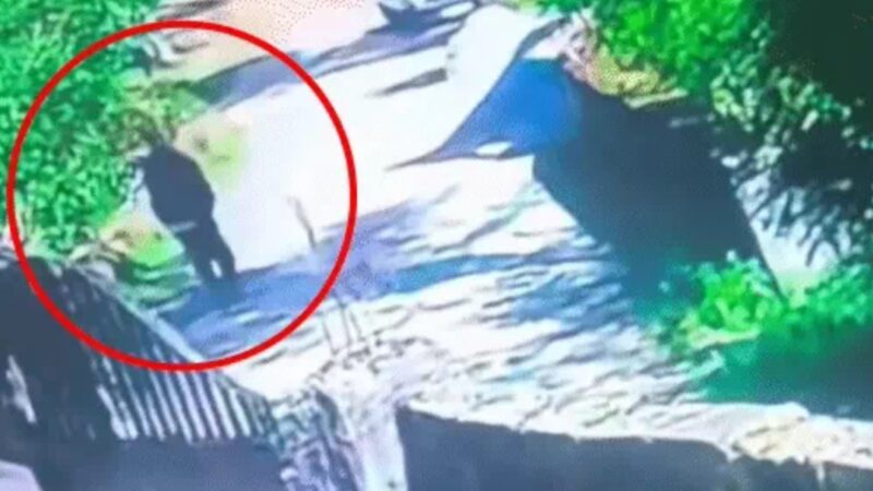 सिया हत्याकांड पर उबाल: बाजार बंद, CM से इस्तीफे की मांग