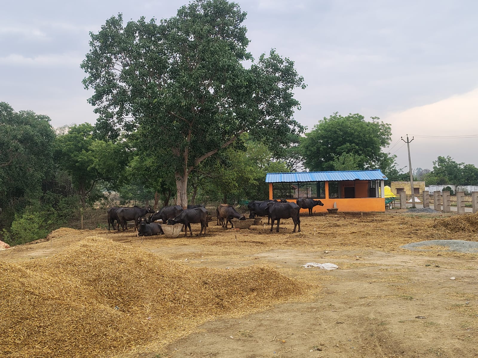 सार्वजनिक स्थलों पर दबंगों का कब्जा, गंदगी से ग्रामीण परेशान; प्रधान ने दी धरने की चेतावनी