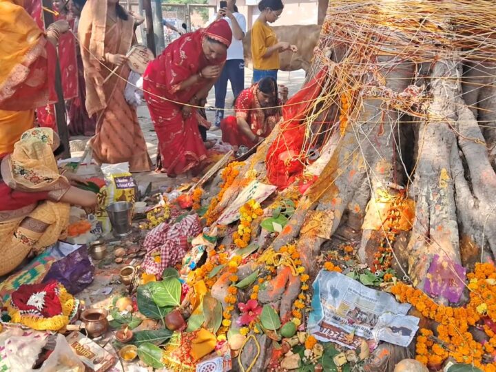 वट वृक्ष की पूजा कर महिलाओं ने पति की लंबी आयु की कामना की