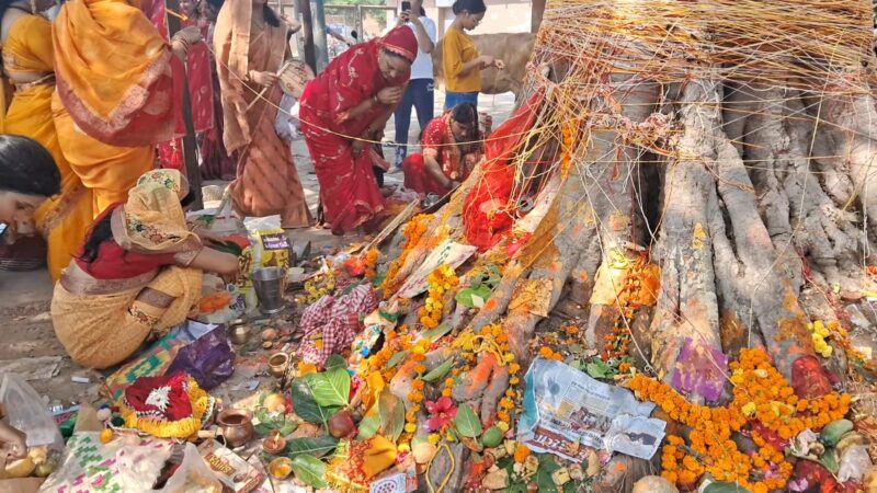 वट वृक्ष की पूजा कर महिलाओं ने पति की लंबी आयु की कामना की