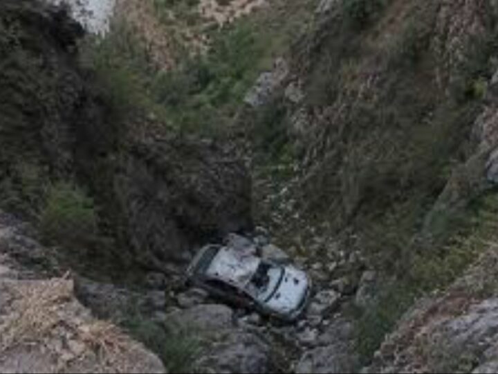 नैनीताल : खाई में गिरी कार, एक ही परिवार के पांच लोगों की मौत
